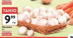 Intermarche Pieczarki oferta