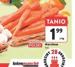 Intermarche Marchew polska oferta