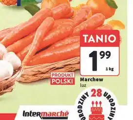Intermarche Marchew polska oferta