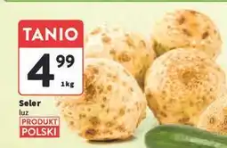 Intermarche Seler korzeń polska oferta