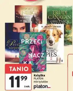 Intermarche Trudi canavan - obiętnica następcy prawo milenium tom 3 oprawa miękka oferta