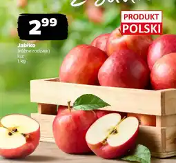 Netto Jabłko oferta