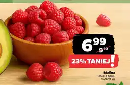 Netto Malina oferta