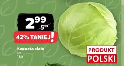 Netto Kapusta biała oferta