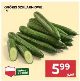 Stokrotka Market Ogórki szklarniowe oferta