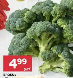 Stokrotka Market Brokuł oferta