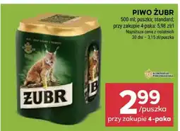 Stokrotka Market Piwo ŻUBR oferta