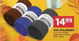 Stokrotka Market Koc polarowy oferta