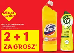 Lidl Domestos i Cif oferta