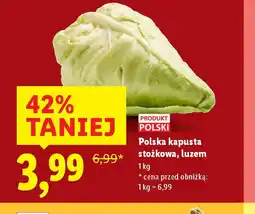 Lidl Polska kapusta stożkowa oferta