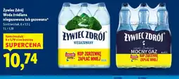 Lidl Zywiec Zdrój oferta
