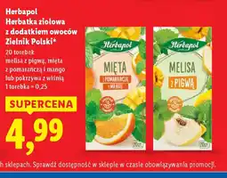 Lidl Herbatka ziołowa z dodatkiem owoców Zielnik Polski oferta