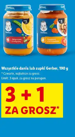 Lidl Dania lub zupki Gerber oferta