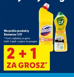 Lidl Produkty Domestos i Cif oferta