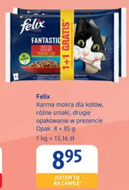 dm drogerie markt Felix Karma mokra dla kotów oferta