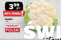 Netto Kalafior polska oferta