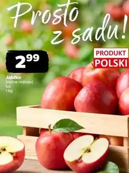 Netto Jabłka oferta