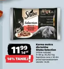 Netto Karma dla kota z wołowiną w sosie Sheba Selection oferta