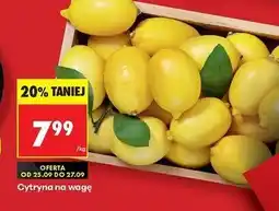 Biedronka Cytryny oferta