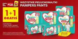 Biedronka Pieluchomajtki Pampers Pants oferta