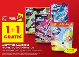 Biedronka Zawieszki i kostki do WC Domestos oferta