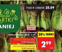 Biedronka Sałata rzymska mini czerwona polska oferta