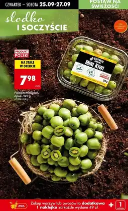 Biedronka Kiwi mini oferta