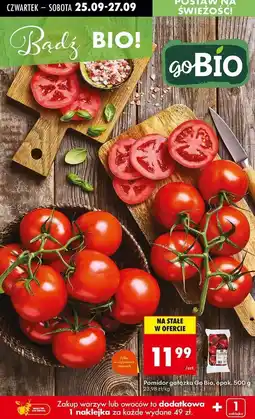 Biedronka Pomidory bio gałązka Gobio oferta