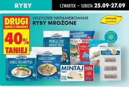 Biedronka Mintaj filety Seacon oferta