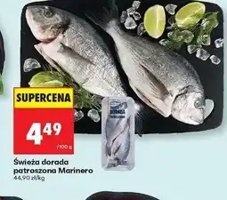 Biedronka Dorada patroszona świeża Marinero oferta