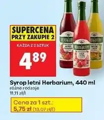 Biedronka Syrop melon z miętą Herbarium oferta