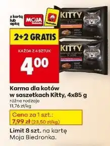 Biedronka Karma dla kota 2x łosoś w sosie indyk Kitty oferta