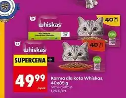 Biedronka Karma dla kota klasyczne posiłki w sosie Whiskas oferta