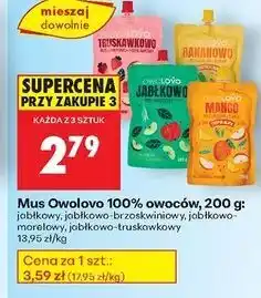 Biedronka Mus jabłko-mango Owolovo oferta