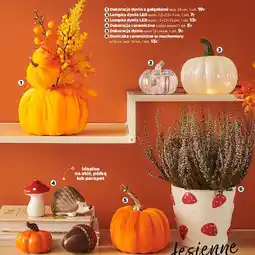 Netto Doniczka ceramiczna w muchomory 14 x 13 cm oferta