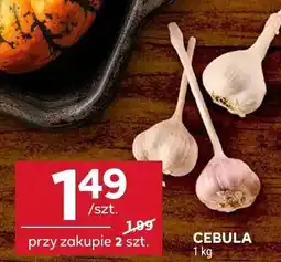 Stokrotka Czosnek polski harnaś 1 szt. Stokrotka oferta