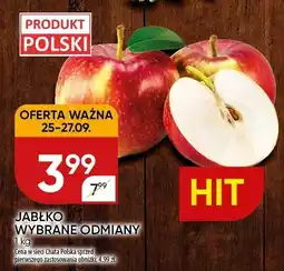 Chata Polska Jabłko wybrane odmiany 1kg Chata Polska oferta