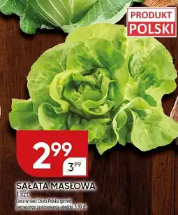 Chata Polska Sałata masłowa 1 szt. Chata Polska oferta