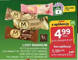 Stokrotka Lody magnum 85-110 ml różne rodzaje oferta