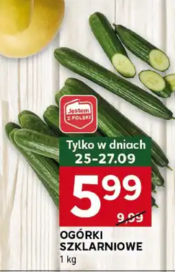 Stokrotka Ogórki szklarniowe 1 kg Stokrotka oferta