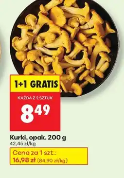 Biedronka Kurki Polski oferta