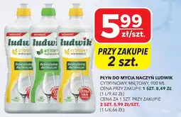 Top Market Płyn do mycia naczyń ludwik oferta