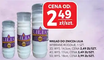 Top Market Wkład do znicza lilia oferta