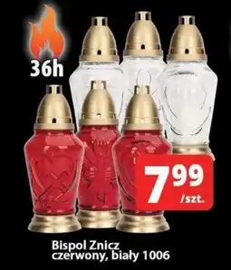 Szyneczka Bispol Znicz czerwony, biały 1006 oferta