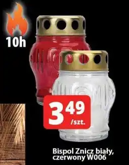 Szyneczka Bispol Znicz biały, czerwony W006 oferta