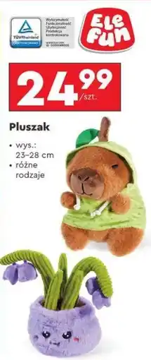 Biedronka Pluszak oferta