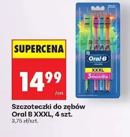 Biedronka Szczoteczki do zębów Oral B XXXL, 4 szt oferta