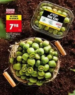 Biedronka Polskie mini kiwi opak . 125 g oferta