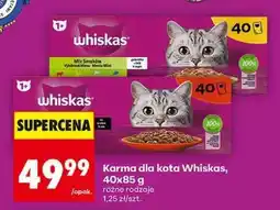 Biedronka Karma dla kota Whiskas, 40x85 g oferta