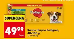 Biedronka Karma dla psa Pedigree, 40x100 g oferta